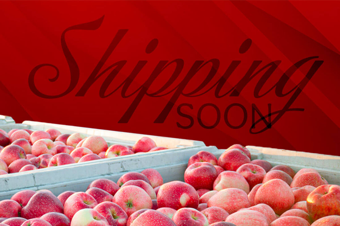 Industry Voices Comment on SweeTango® Apple Shipments and Marketing Plans